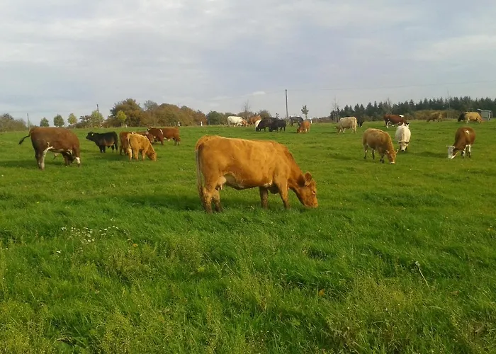 Ferienwohnung Scheid